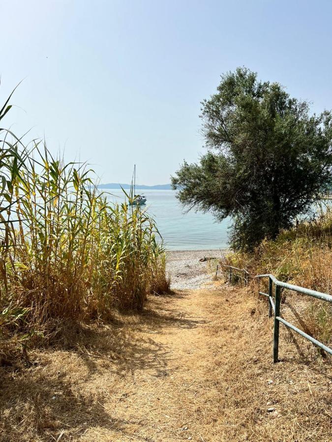 Lithino Apartments - 5Min From The Beach Agios Ioannis Peristerion Exterior photo