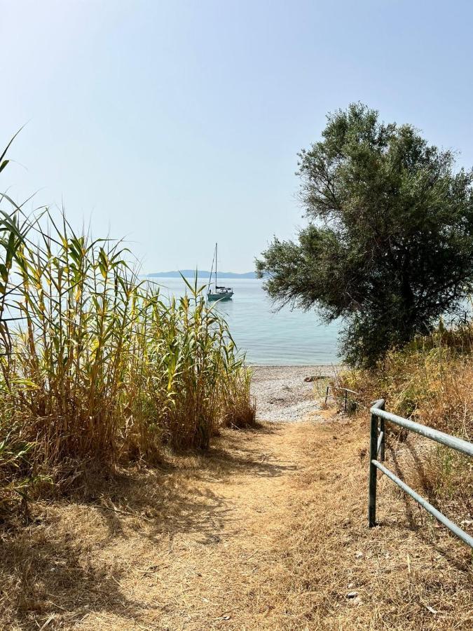 Lithino Apartments - 5Min From The Beach Agios Ioannis Peristerion Exterior photo