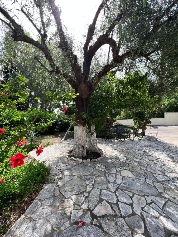 Lithino Apartments - 5Min From The Beach Agios Ioannis Peristerion Exterior photo