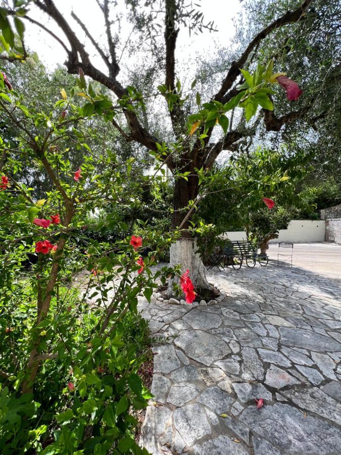Lithino Apartments - 5Min From The Beach Agios Ioannis Peristerion Exterior photo